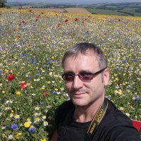 Carl Bovis (@carlbovis) 's Twitter Profile