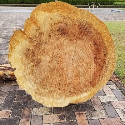 hwN2QqgopbSGiYn's profile picture. 画像は樹齢100年超の杉の木（先祖はきこりだという）
現在は国の財政や政策等を勉強中。
子どもたちのためにも、今は大幅減税、社会保険料負担軽減、積極財政が必要。
国は通貨発行が出来きる。発行した分国民の懐が増える。
高橋洋一氏や三橋貴明氏他の話等で勉強中。

支持政党等一切なし。
