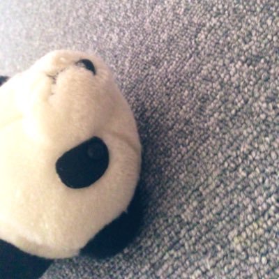 sssshiropanda's profile picture. UI・UXデザイナーみたいなやつ / ミキシングとデータサイエンス勉強中/猫を追うより皿をひけ