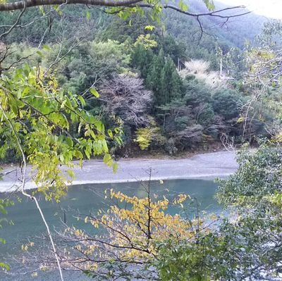 ❇️天瀬ひみか様🕊️は正しい事を言われています。自分のコードや日々の現象化の的中に、こ・れ・は…当たっている!と実感した時から🦅ホルス神❇️ひみか様を崇拝しています🛐
動物・自然を尊重した世の中になって欲しい。 動物の虐待殺処分絶対反対です。
無言フォローお許し下さい🙇