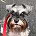 WillowPaws (@leeball5427) Twitter profile photo WillowPaws (@leeball5427) Twitter profile photo