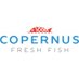 Copernus Fresh Fish (@copernusff) Twitter profile photo Copernus Fresh Fish (@copernusff) Twitter profile photo