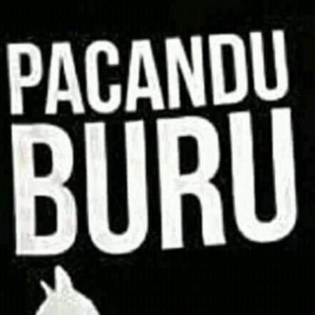 SmongkoS's profile picture. baik