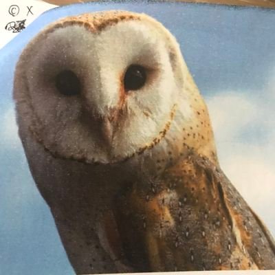 Kazuyukiさんのプロフィール画像