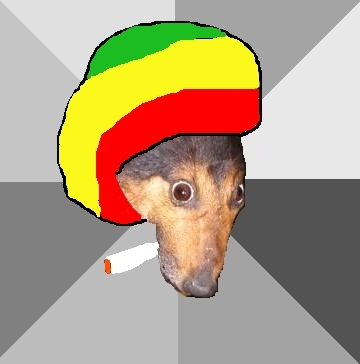 Inocente em eterno conflito com a sociedade, marginal que nunca fez mal a ninguém. O Maconheiro posta via tweetbeck, digo, tweetdeck, e a Maconheira via web.