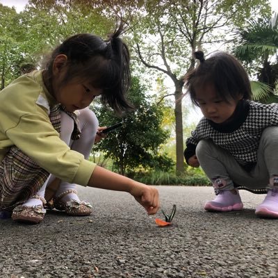 xiezhengyu1's profile picture. 