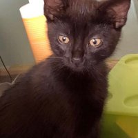 Jean Dann (@boulter_jean) 's Twitter Profile Photo