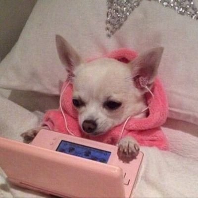 wolfeybri's profile picture. idk where I am