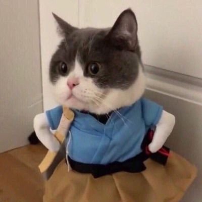 MilddliMss's profile picture. 
