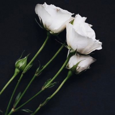 DreamJ3030's profile picture. 