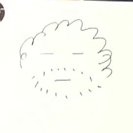 김왼필의 털