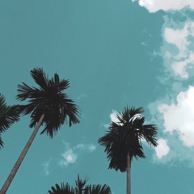 kemejabiruputih's profile picture. shit, how to use this app