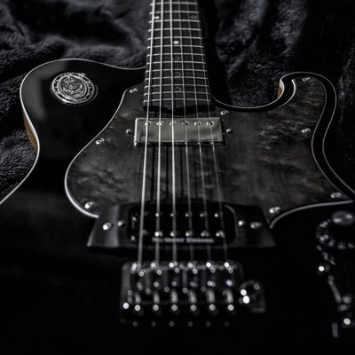 L's TRUST Guitars - Setagaya,Tokyo,JAPAN - We also offer repair and custom work. Hope you enjoy. https://t.co/qppT2EVqFS □株式会社L's TRUST