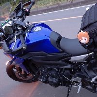徳もの (@harawata3rd) 's Twitter Profile