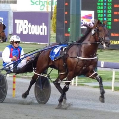 howlett_jimmy's profile picture. mega trot fan owner ,