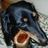 kauto0922's profile image
