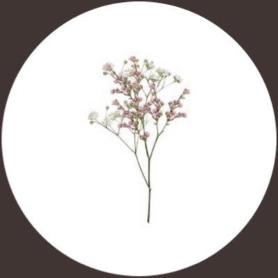 3zizmag's profile picture. 