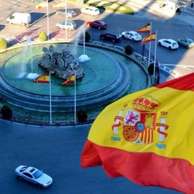 aran2502's profile picture. 