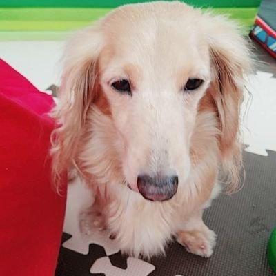 ♡♡好きなものを好きなだけ♡♡K-POPメインは東方神起とSEVENTEEN♡中村倫也♡漫画♡アニメ♡刀剣乱舞♡
セブチ垢 @17_svt94