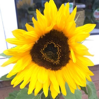 2yrOldExplorers's profile picture. 2 year old Provision based within Eastway Primary School, Wirral. Full and Part time hours available. Enquiries welcome! 🙂 #bringinglearningtolife