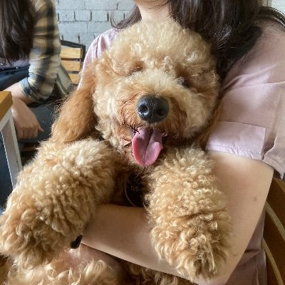 KyOhrrTN2iDQgXy's profile picture. 나를 위한 힐링공간