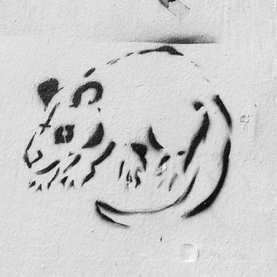 Melusinenetcou1's profile picture. 