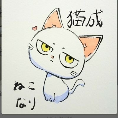 猫成～ねこなり～さんのプロフィール画像