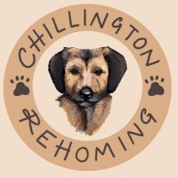 Chillington Rehoming 🐕(@CRehoming) 's Twitter Profile Photo