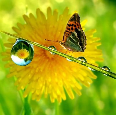 SUJEETK45127720's profile picture. Speak Beautifull Things