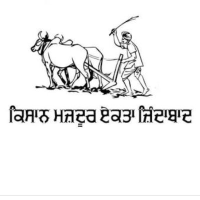 arshrai000's profile picture. 🐊