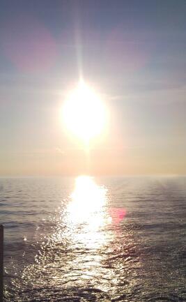 Verenice_1981's profile picture. 