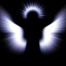 polus45's profile picture. 