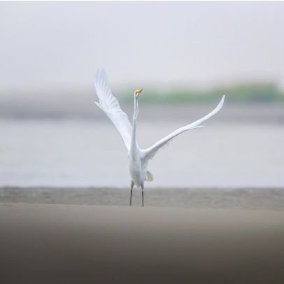 Analzzzz's profile picture. 