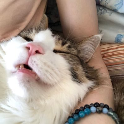 あんころもち(*Ü*)￡ον℮♡*.さんのプロフィール画像