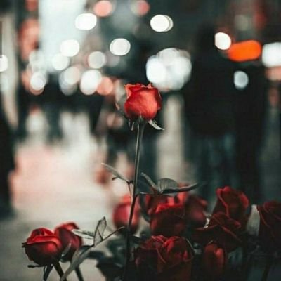 fatimashishan's profile picture. ‏‏‏انا من شيشان أعيش في مسكو اللهم لا تسلط علينا بذنوبنا من لا يخافك ولا يرحمناМне нравится шишан