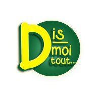 Dis Moi Tout (@dismoitoutbf) 's Twitter Profile