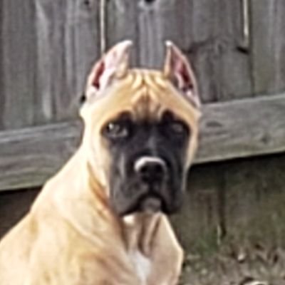 MattST8's profile picture. 