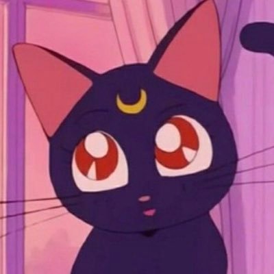 Daily Posts of Sailor Moon’s loyal companion/partner Luna!