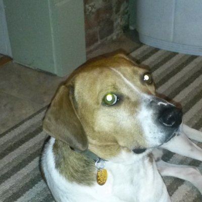 gripping_hand's profile picture. 
