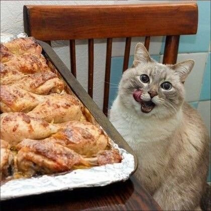 taikopump's profile picture. 