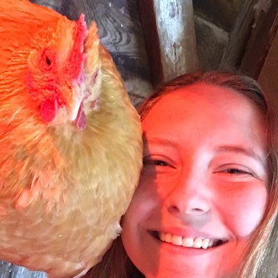 KorbaAlyshia's profile picture. what’s twitter