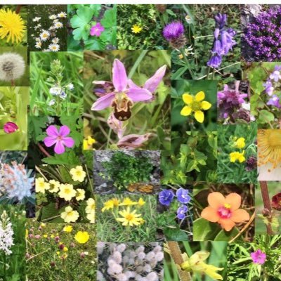 GailMMaher's profile picture. Returned to fulltime education at 44. PhD at 55. I took the scenic route.