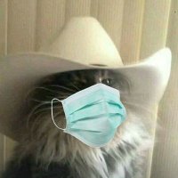 Tyler Gatewood (@tylergatewood9) 's Twitter Profile