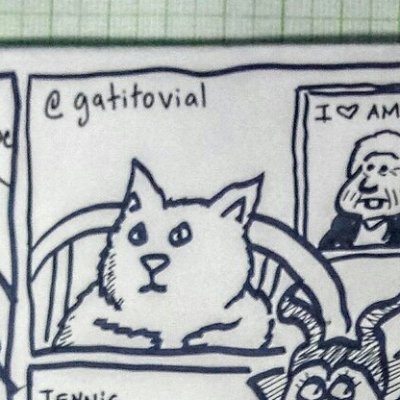 GatitoVial Profile Picture