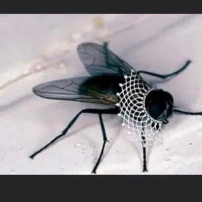 vmermaid3's profile picture. #theresistance #shepersisted