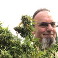 Harsh’s Grow Lab (@harshsgrowlab) 's Twitter Profile