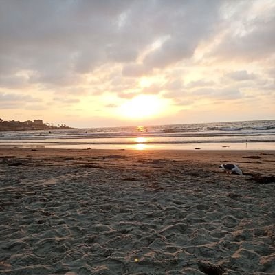 indeliblewoman's profile picture. I believe in divine timing