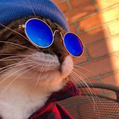 alideniz1994's profile picture. 