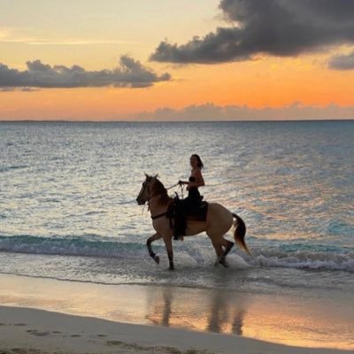 kooookah22's profile picture. لَا إِلَــه إِلَّا أَنْـت سُبْحَانَـك إِنِّــي كُنْـت مِن الْظَّالِمِيْــن ♥