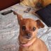 Cindy Entes * (@carlosc7504) Twitter profile photo Cindy Entes * (@carlosc7504) Twitter profile photo